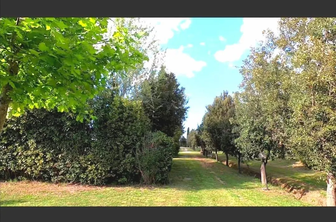 Campsite Bnatural Glamping Naturista/Nudista Baratti Italy