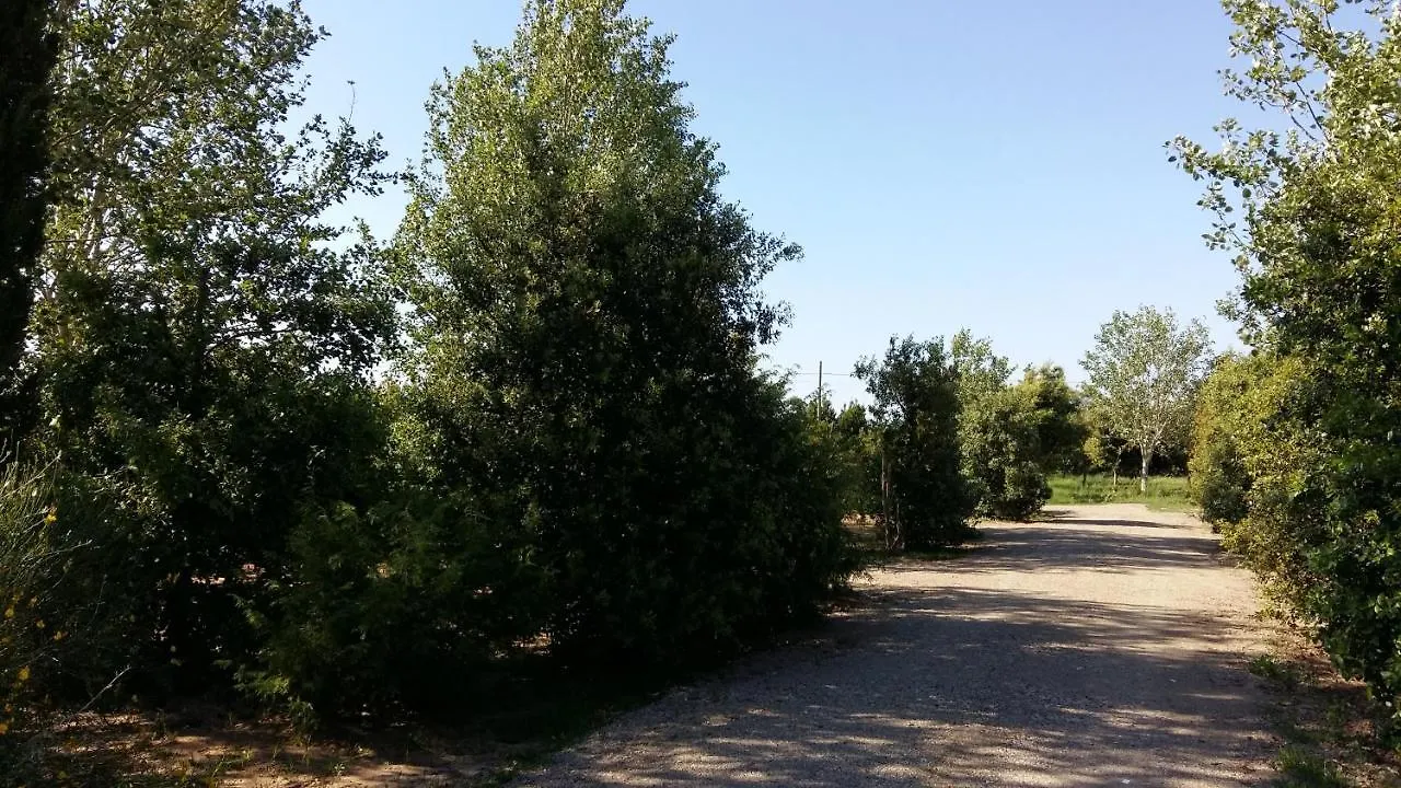 Bnatural Glamping Naturista/Nudista Baratti Campsite