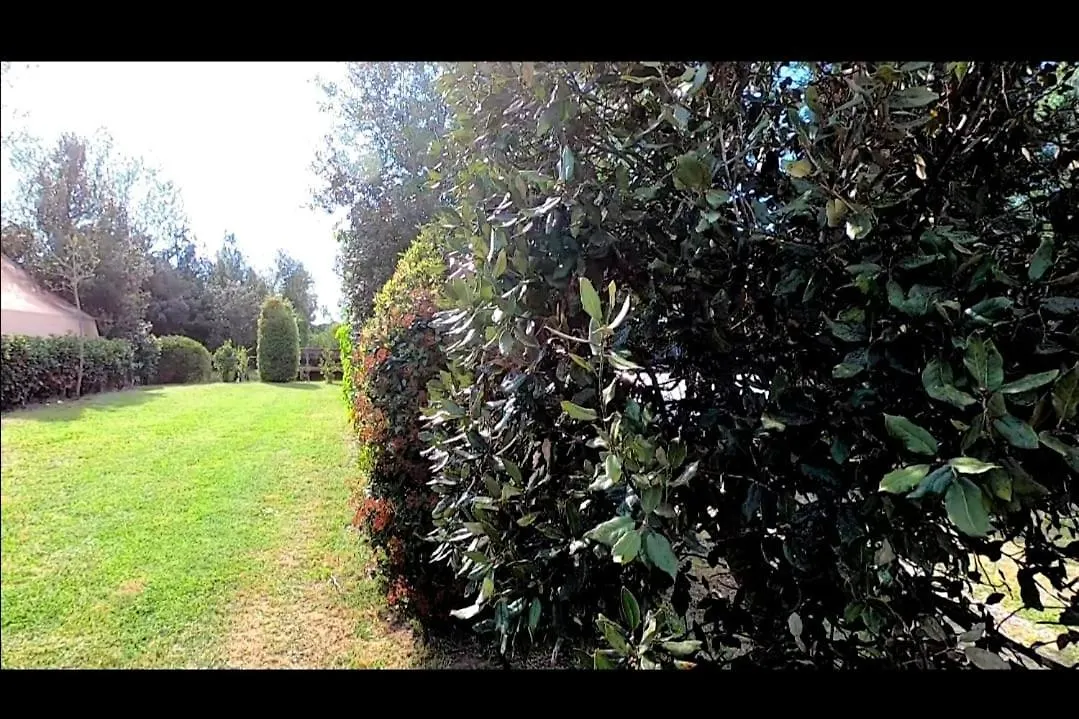 Bnatural Glamping Naturista/Nudista Baratti Campsite