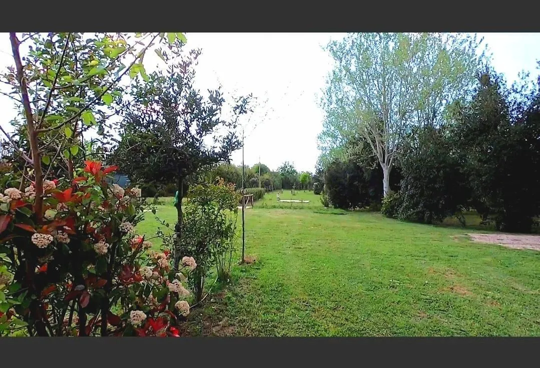 Bnatural Glamping Naturista/Nudista Baratti Campsite