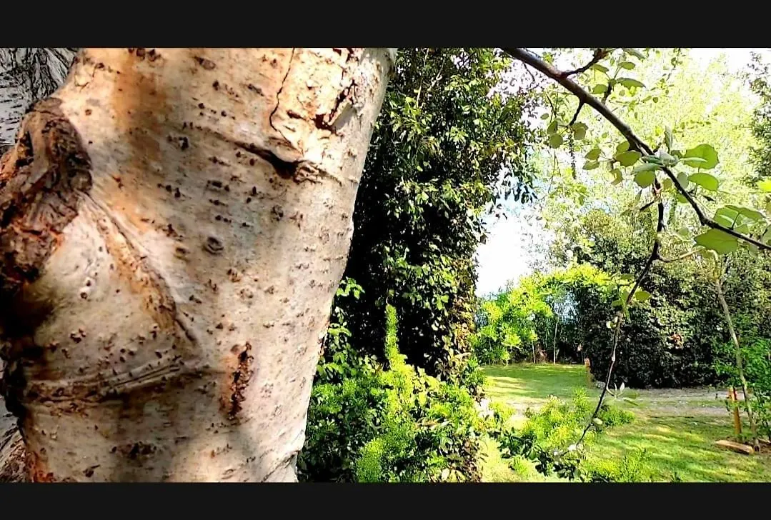 Bnatural Glamping Naturista/Nudista Baratti Italy